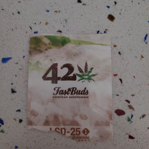 LSD-25 growlog photo