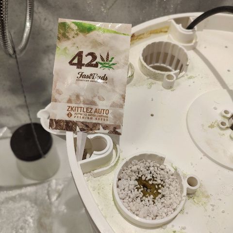 C4-Matic growlog timeline photo