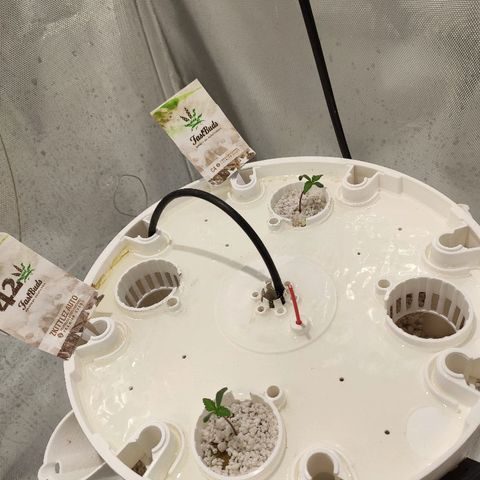 C4-Matic growlog timeline photo