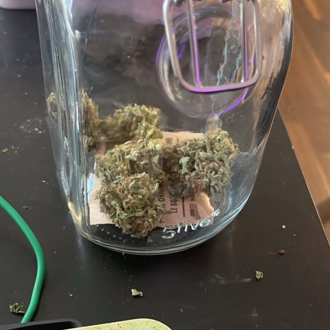 Amnesia growlog timeline photo