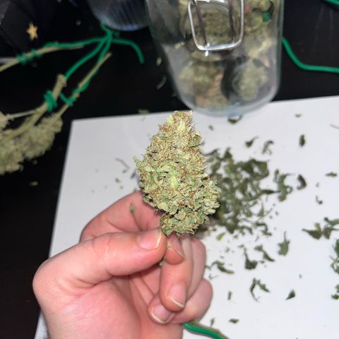 Amnesia growlog timeline photo