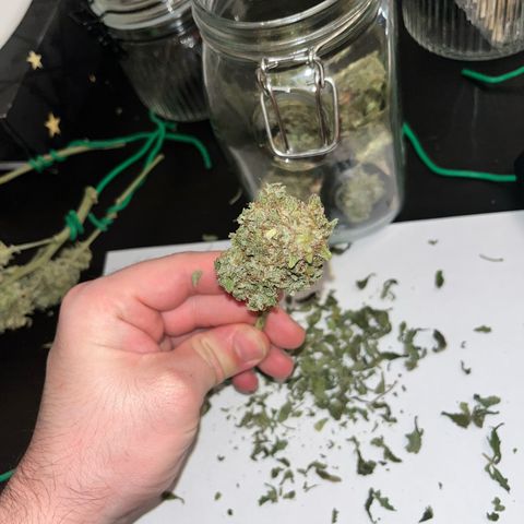 Amnesia growlog timeline photo