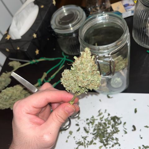 Amnesia growlog timeline photo