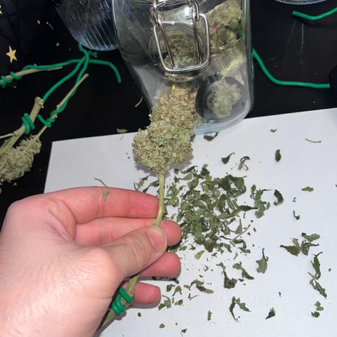 Amnesia growlog timeline photo
