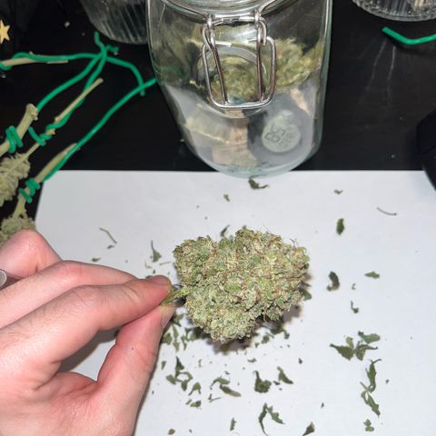Amnesia growlog timeline photo