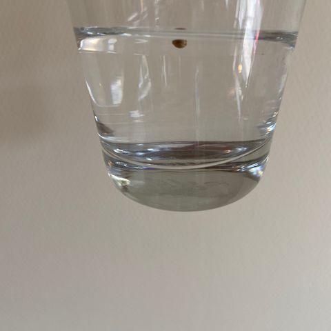 AK-020 by AmsterdamGenetics.Com growlog photo: Put the seed in a glass with water, but the seed is floating.