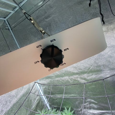 Frosti growlog photo: Licht auf 60%
Netz eingebaut
Seilzug bei der Lampe entfernt 