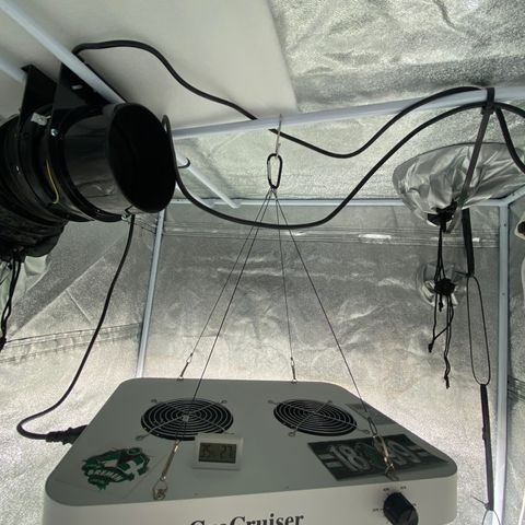 Frosti growlog photo: Licht auf 60%
Netz eingebaut
Seilzug bei der Lampe entfernt 