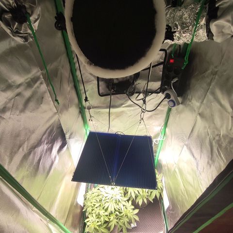Wedding Cake growlog timeline photo