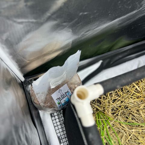 Moby-D #4 growlog photo: Acréscimo de Bag co2 @thepotbag 