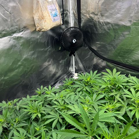 Moby-D #4 growlog timeline photo