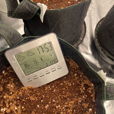 Black Domina  growlog timeline photo