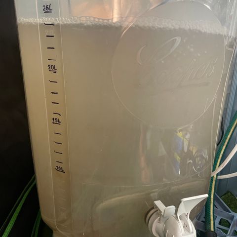 Black Domina  growlog timeline photo