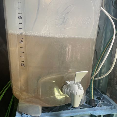 Black Domina  growlog timeline photo