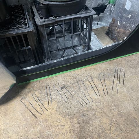 Unknown strain growlog timeline photo