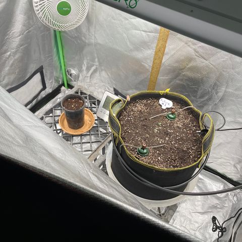 Future 1 photo growlog timeline photo