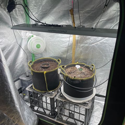 Future 1 photo growlog timeline photo