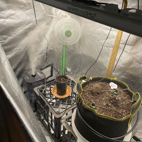 Future 1 photo growlog timeline photo