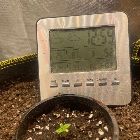 Future 1 photo growlog timeline photo