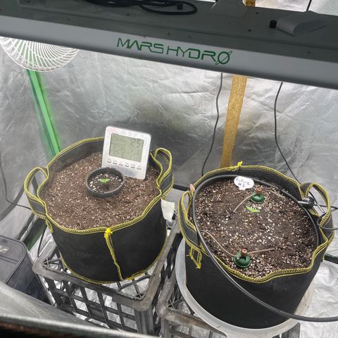 Future 1 photo growlog timeline photo