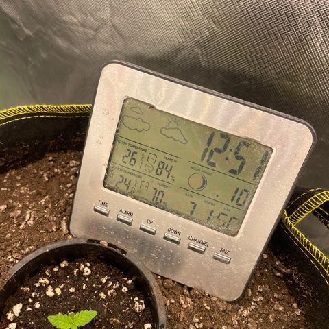 Future 1 photo growlog timeline photo