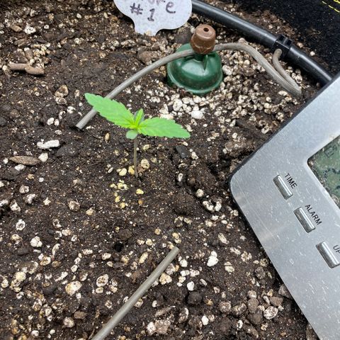 Future 1 photo growlog timeline photo
