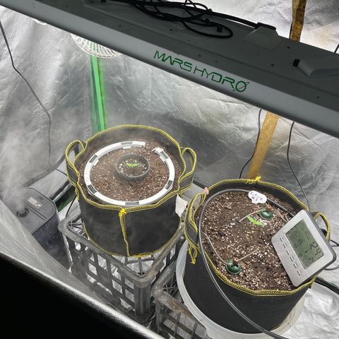 Future 1 photo growlog timeline photo