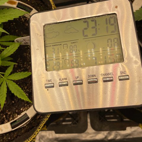 Future 1 photo growlog timeline photo