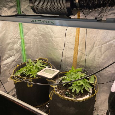 Future 1 photo growlog timeline photo