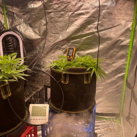 Future 1 photo growlog timeline photo