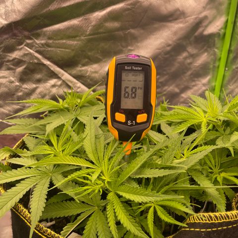 Future 1 photo growlog timeline photo