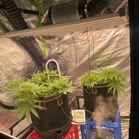 Future 1 photo growlog timeline photo
