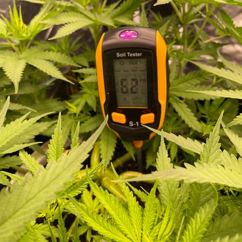 Future 1 photo growlog timeline photo