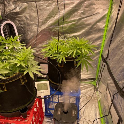 Future 1 photo growlog timeline photo