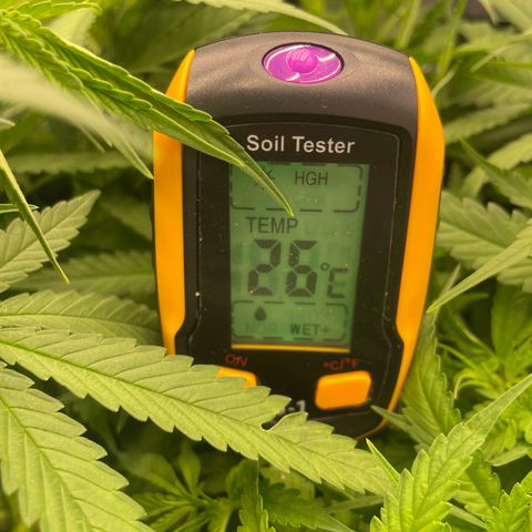 Future 1 photo growlog timeline photo