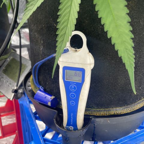 Future 1 photo growlog timeline photo