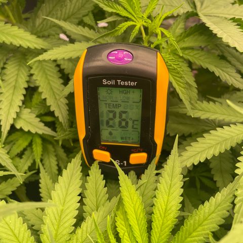 Future 1 photo growlog timeline photo
