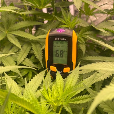 Future 1 photo growlog timeline photo