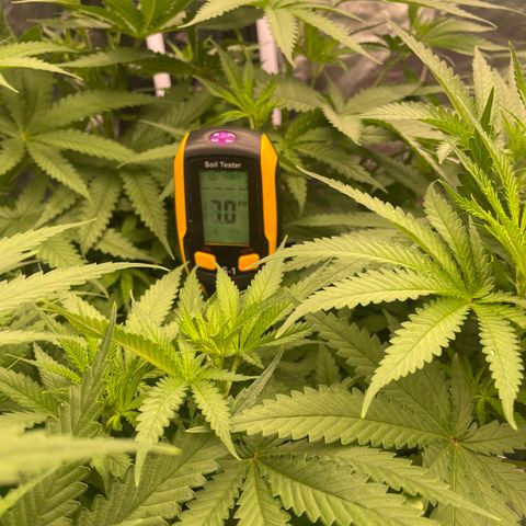 Future 1 photo growlog timeline photo