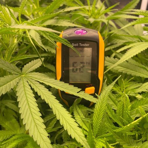 Future 1 photo growlog timeline photo