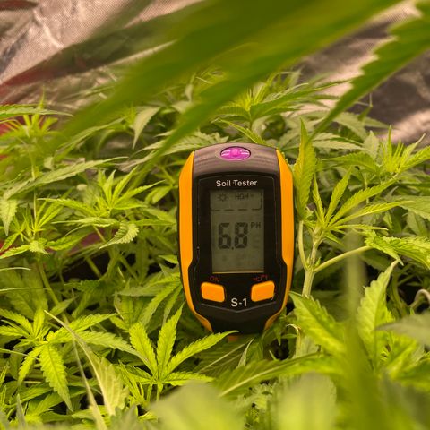 Future 1 photo growlog timeline photo