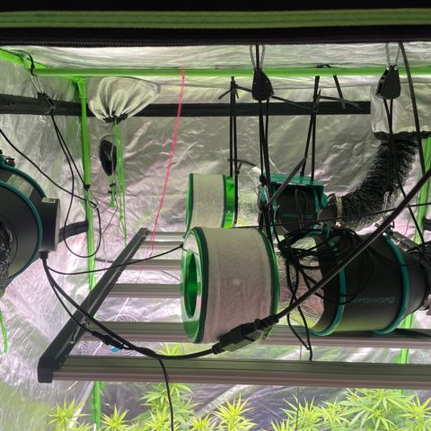Future 1 photo growlog timeline photo