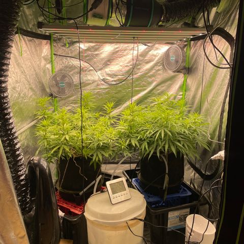 Future 1 photo growlog timeline photo