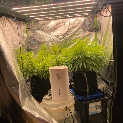Future 1 photo growlog timeline photo