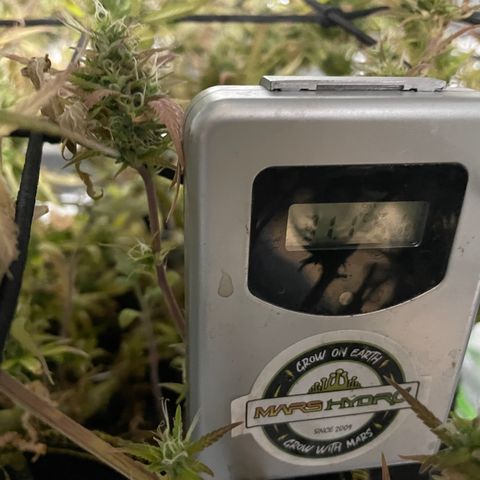 Future 1 photo growlog timeline photo
