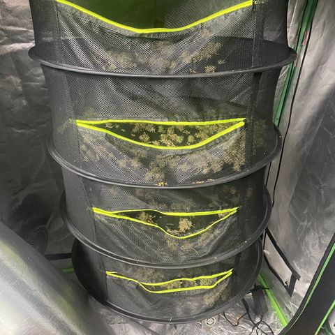 Future 1 photo growlog timeline photo