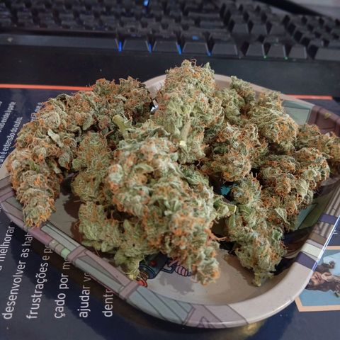 ORIGINAL SKUNK AUTO growlog timeline photo