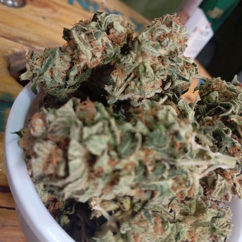 KORENJI growlog timeline photo