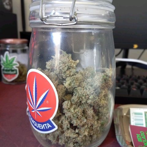 ALIEN SNACK growlog timeline photo