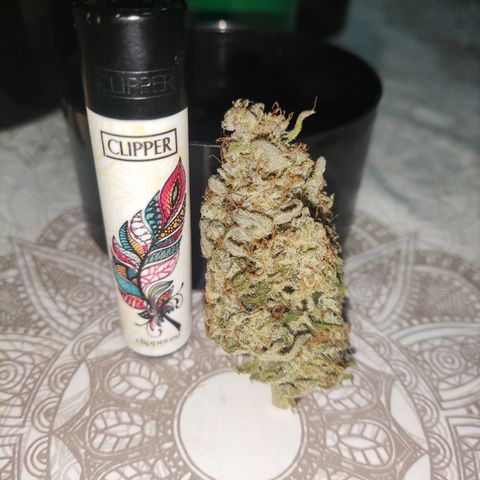 Syrup  growlog timeline photo